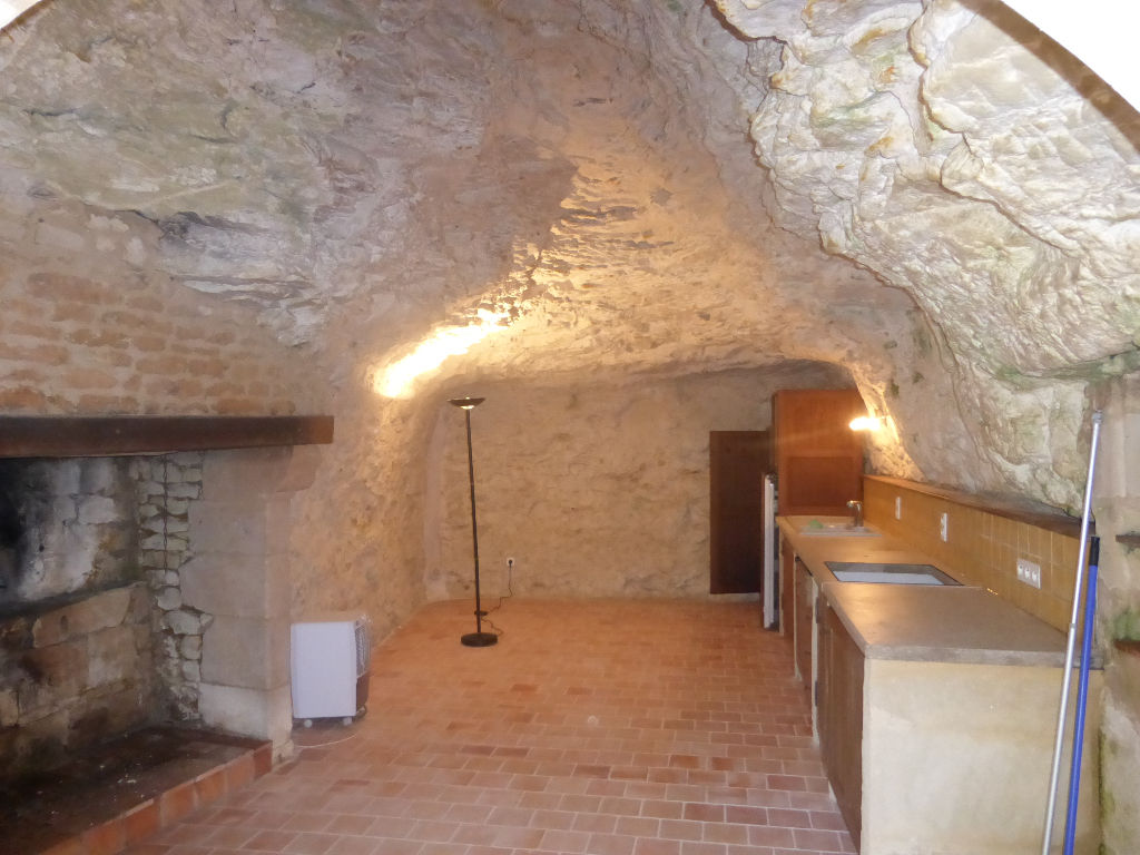 Maison troglodyte proche Doue la Fontaine - D2949