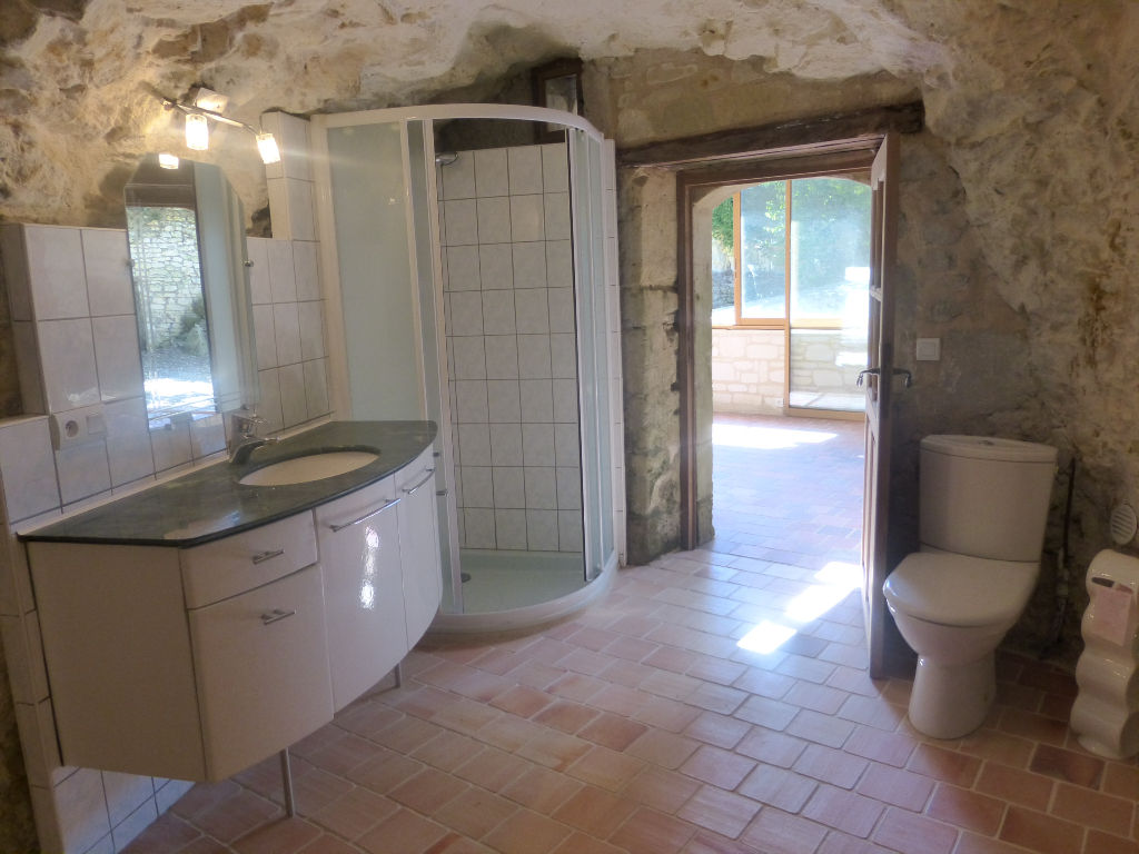 Maison troglodyte proche Doue la Fontaine - D2949