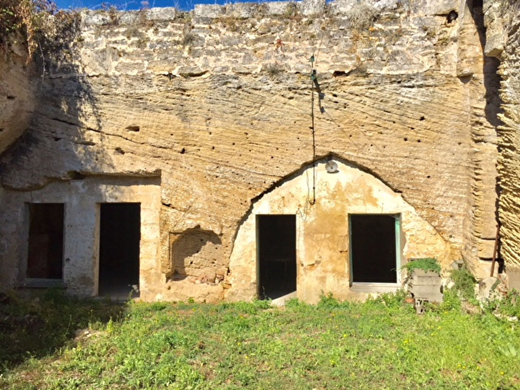 Maison Troglodyte Doue La Fontaine D4549