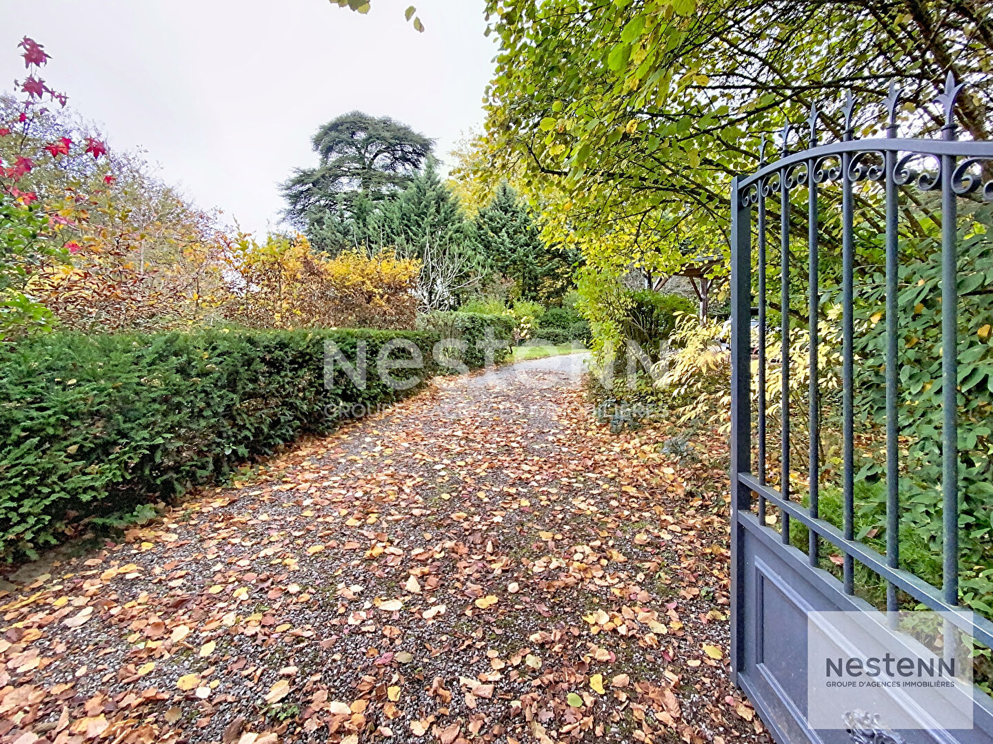A vendre à Saint Avertin : superbe terrain de 980 m2 constructible dans un environnement boisé · 232 500 €