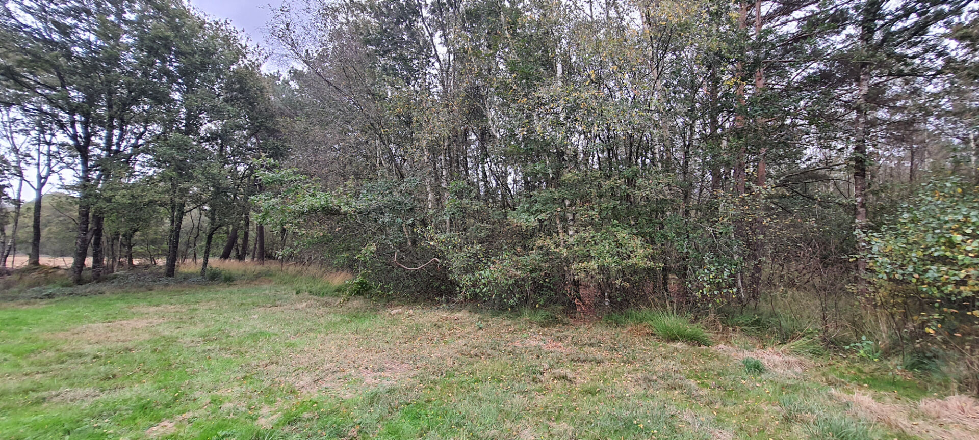 Terrain Boise A Vendre Pas Cher
