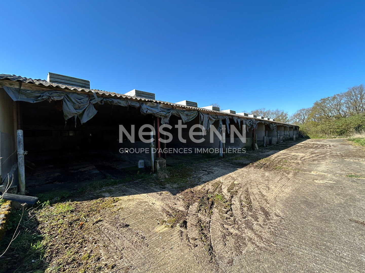 Terrain 1000 m² · à Questembert · 1 000 m² · 49 800 €