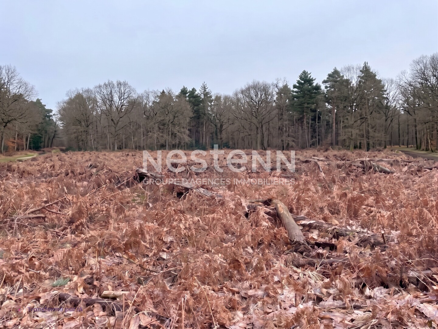 Terrain 8531 m² · à Molac · 13 750 €