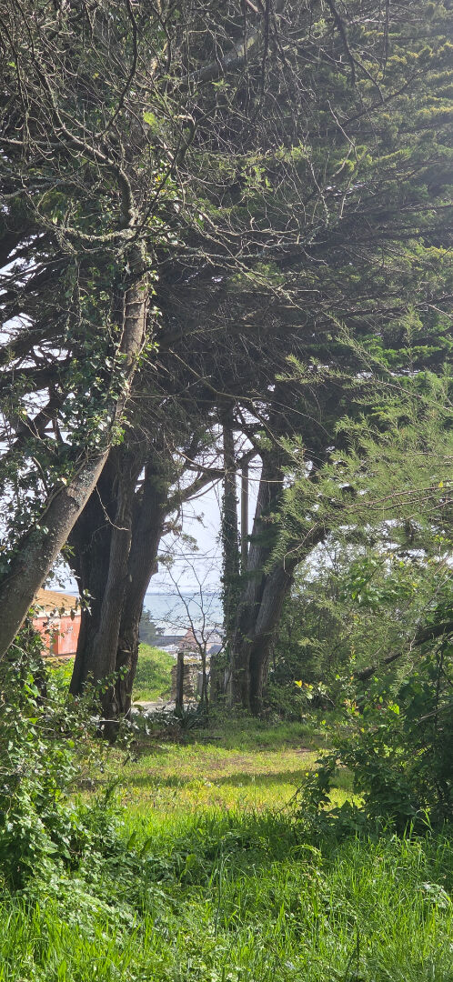 Terrain à vendre à Sarzeau - Secteur Sarzeau - St Jacques, proche océan · 170 400 €