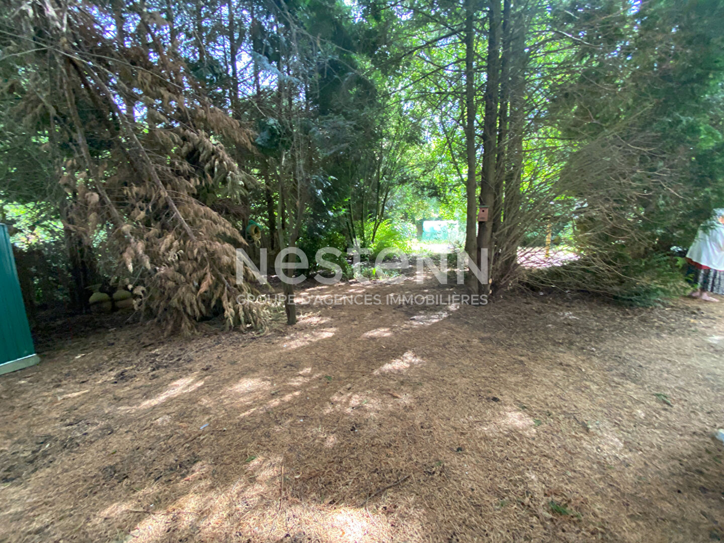 Terrain 3 pièces · à Treverien · 24 000 €