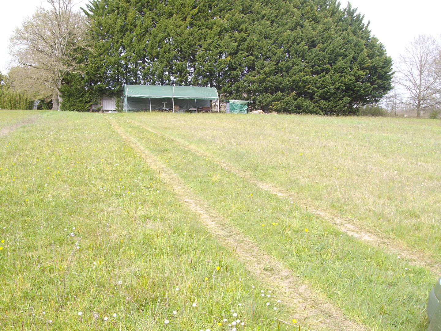 Terrain agricole à Saint Barthelemy D Anjou · 191 700 €