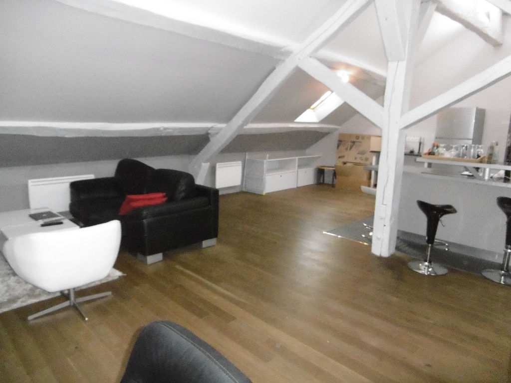 Orleans st marc, grand T2 esprit loft avec 2 places de parking privees.