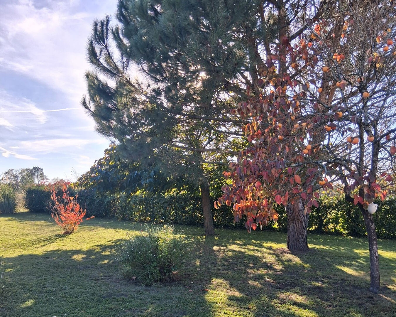 A vendre Maison sur 2 niveaux Haut Mauco 3 chambres clim réversible garage piscine