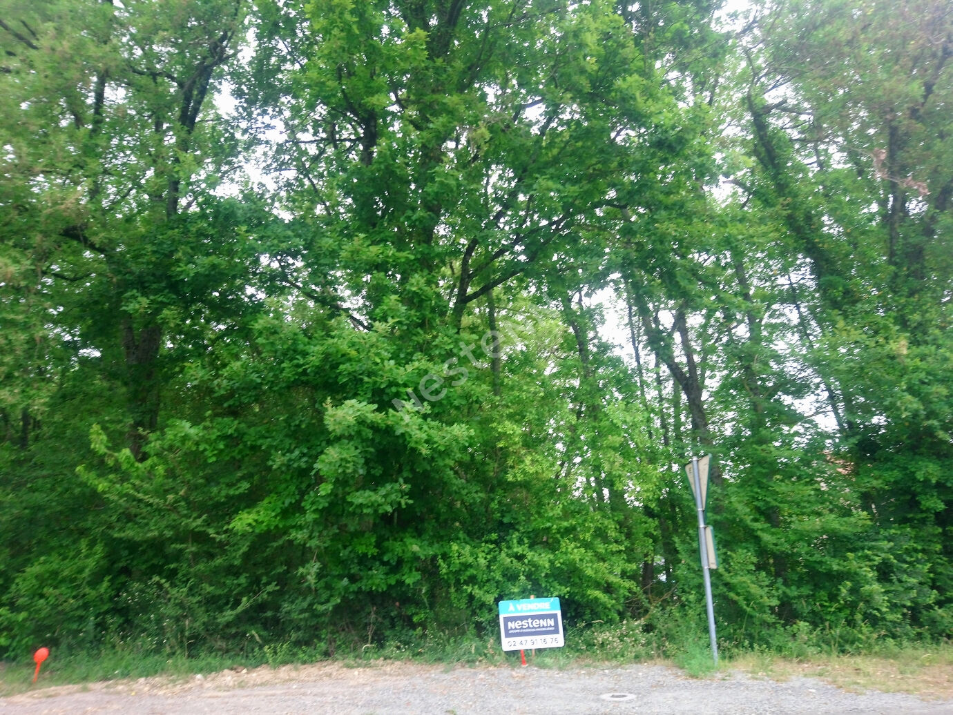 Parcelle de Bois a 5 min de Loches