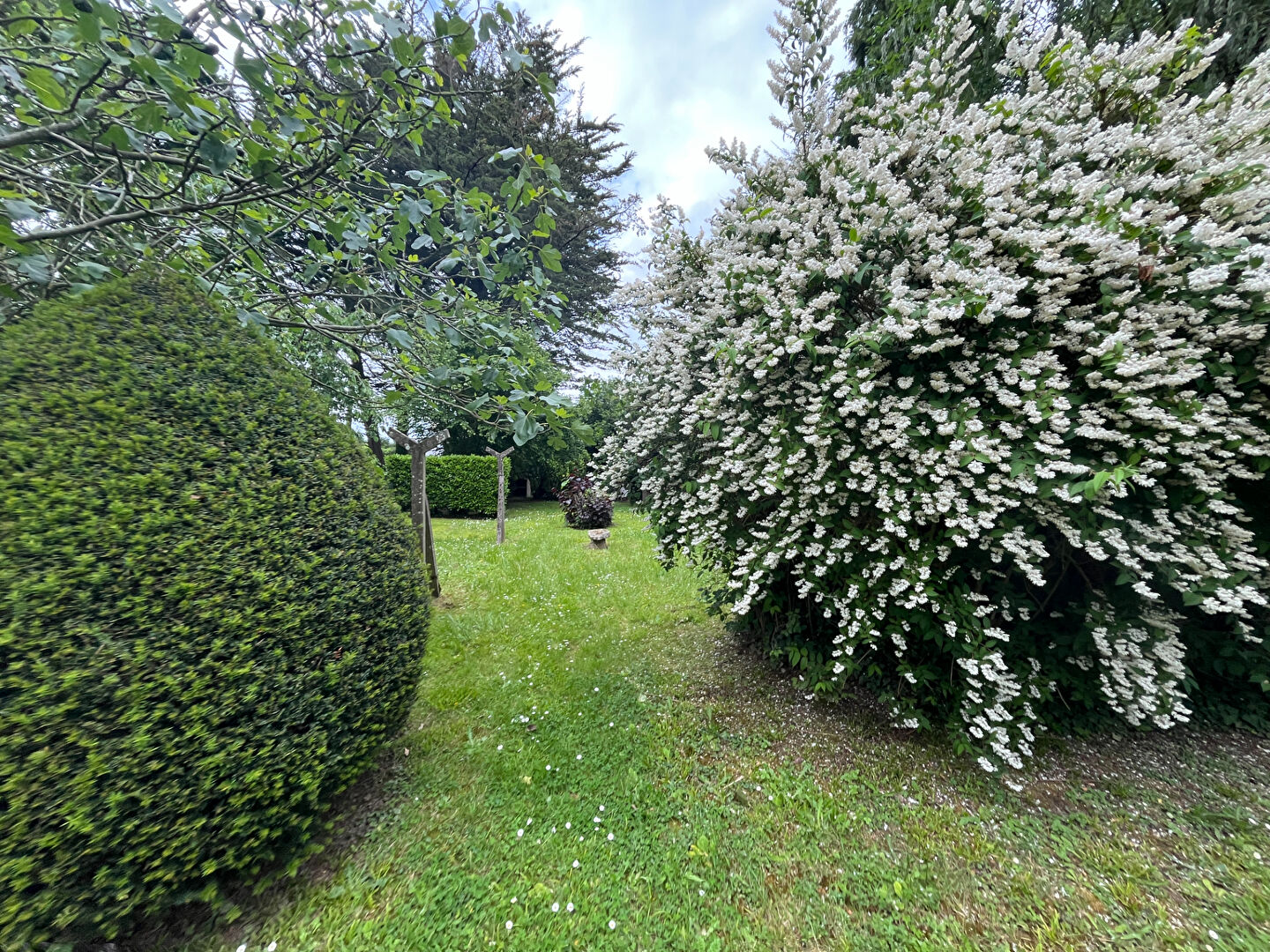 A VENDRE MAISON QUEVERT PROCHE DINAN 4 CHAMBRES TERRAIN DE 1200M²