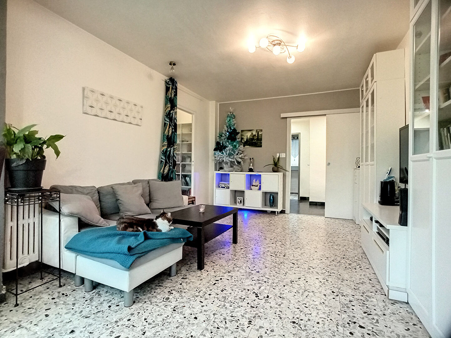 Appartement T3 avec balcon et terrasse secteur Montplaisir