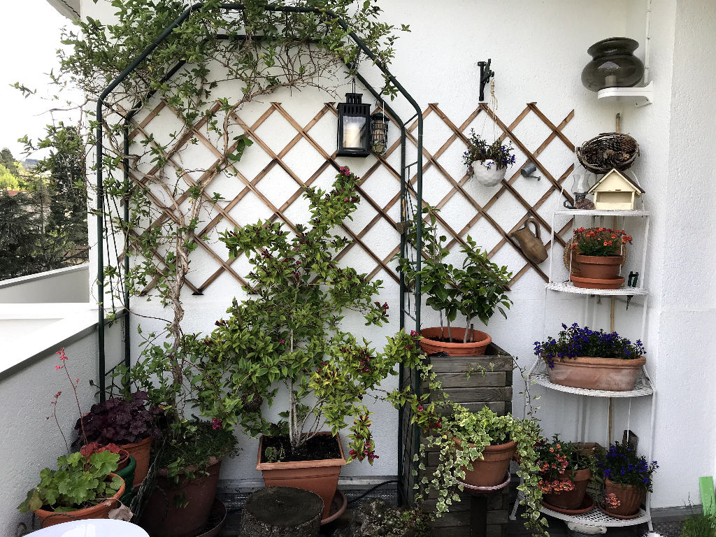 EXCLUSIVITÉ COUP DE COEUR ! - rue Emile Clermont