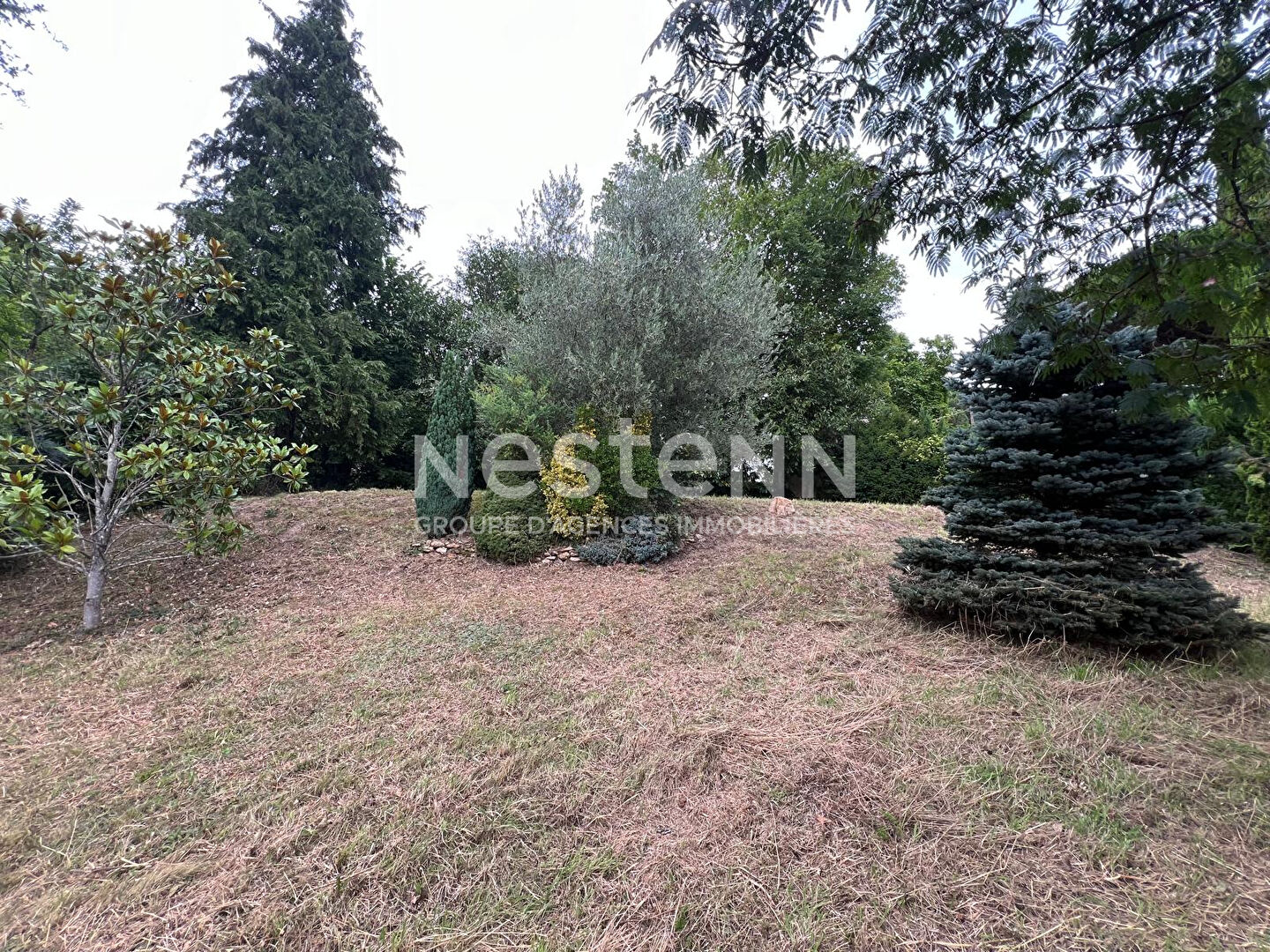 Terrain 134 m² · à Igny · 134 m² · 345 000 €