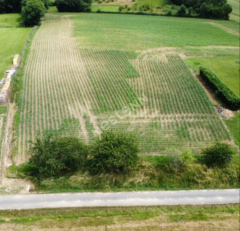 Terrain Montcony 1070 m2 · 17 000 €