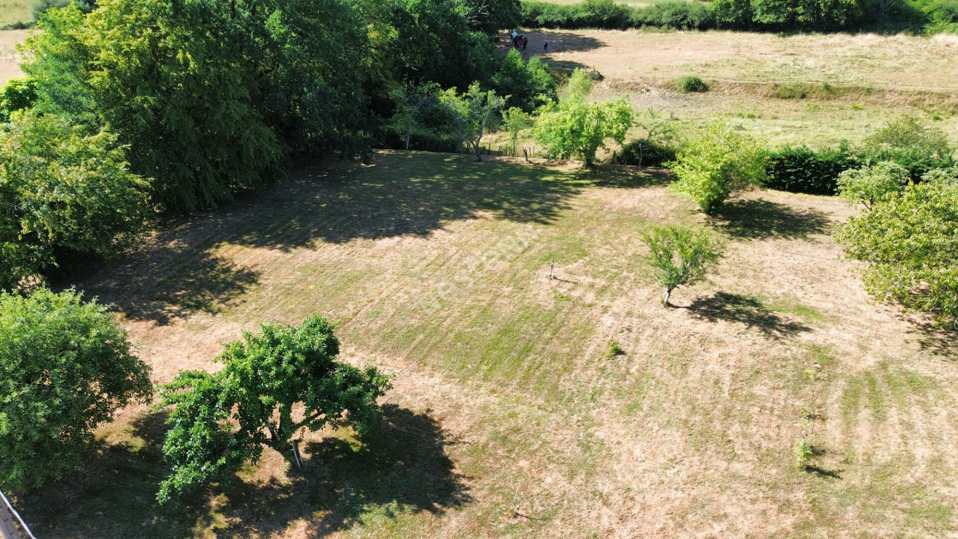 Terrain Sornay · à Louhans · 30 000 €