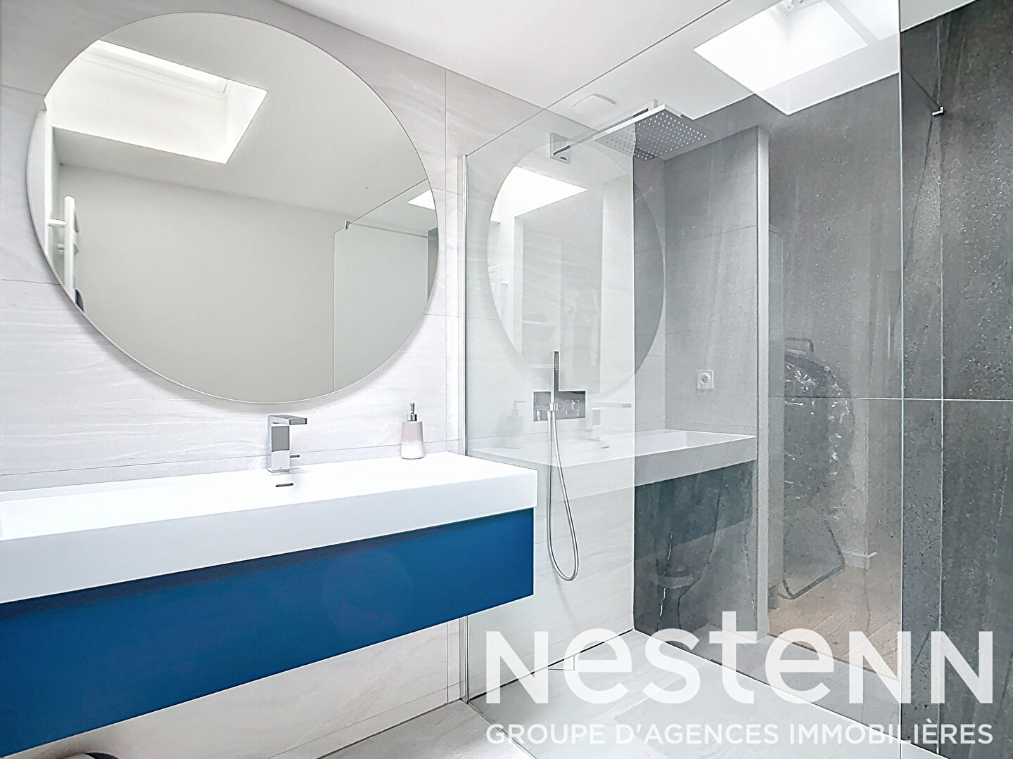 RILLIEUX LA PAPE MAISON CONTEMPORAINE 4 CHAMBRES BEAUX ESPACES ET PRESTATION HAUT DE GAMME
