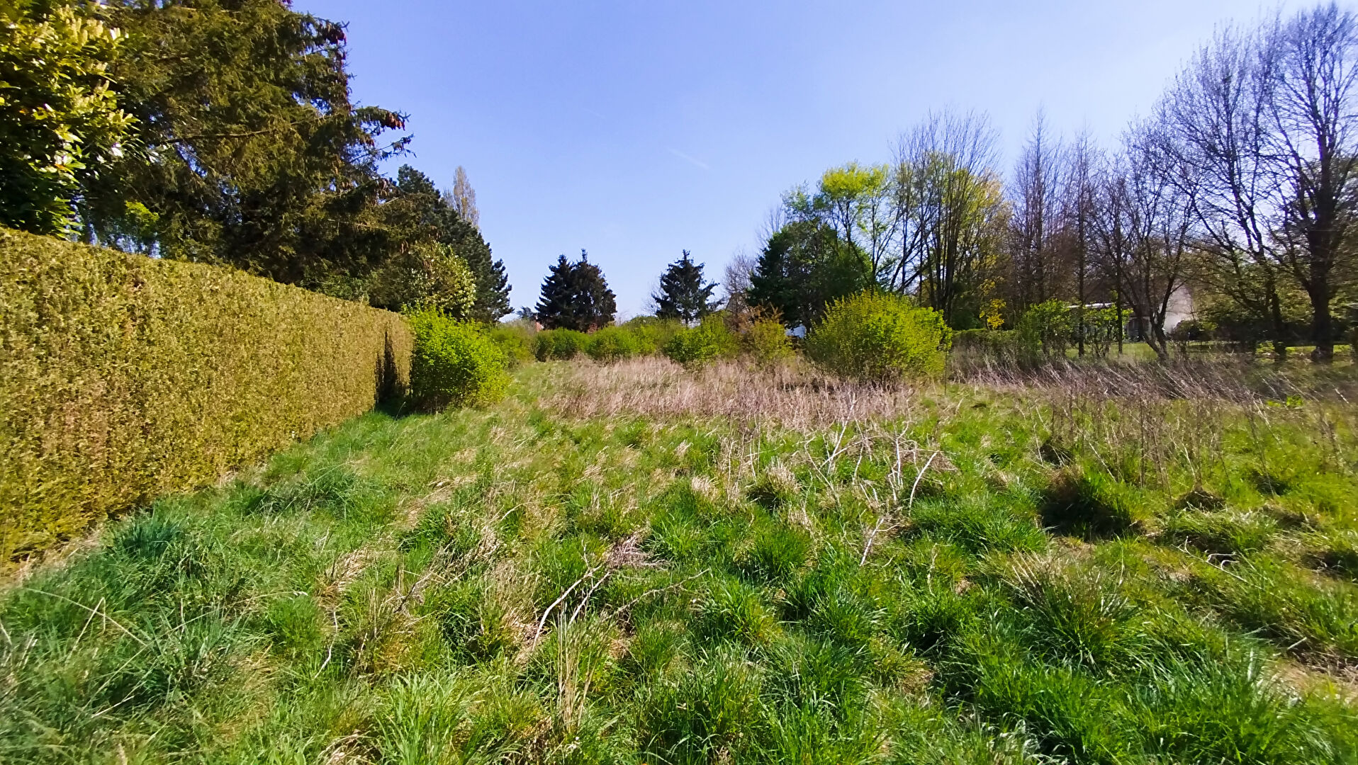 Terrain constructible de 2 386 m² à Revelles (80540) · 124 000 €