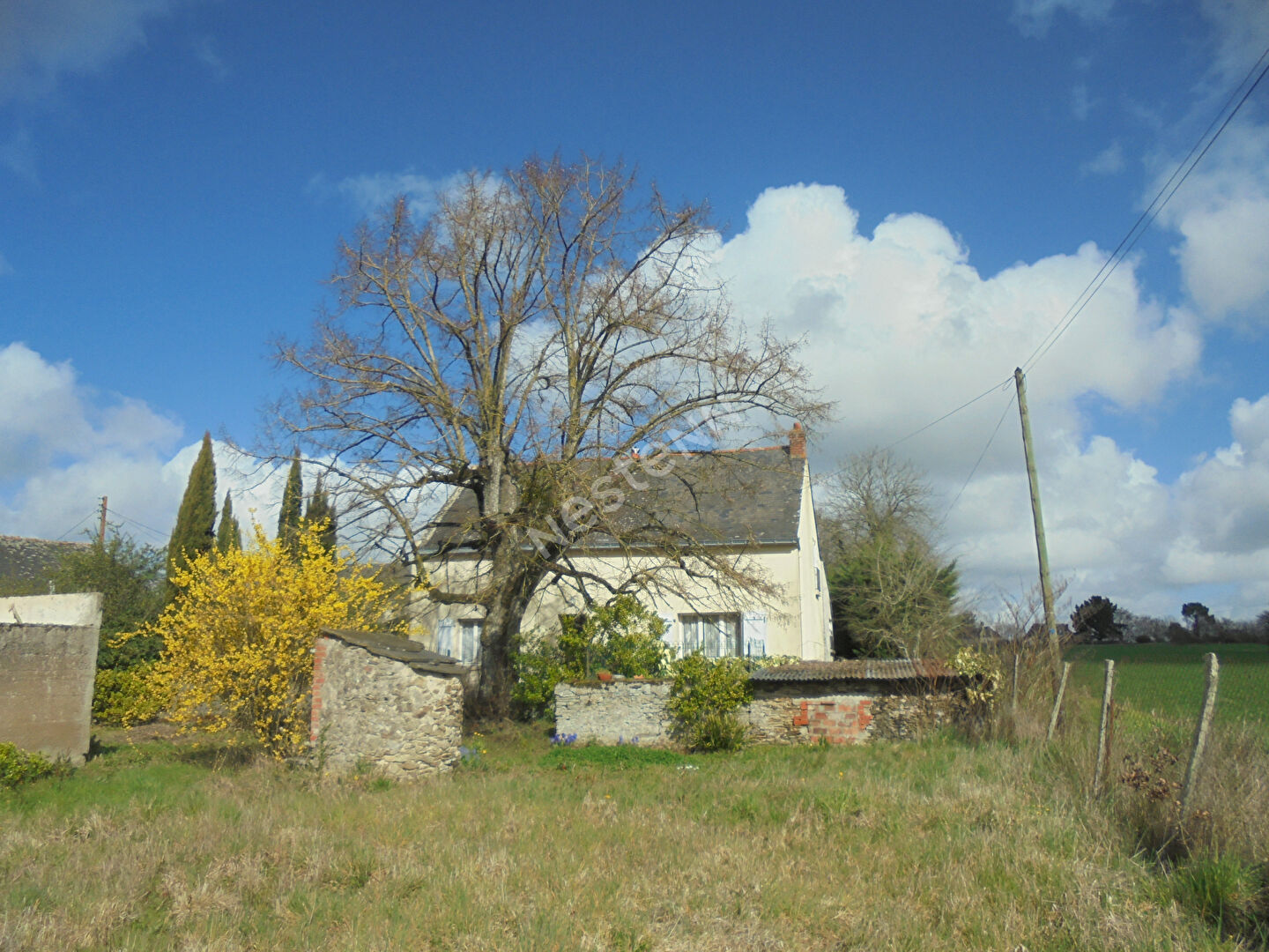 Moze Sur Louet - A Renover - 125 m2 sur 1091m2 Terrain
