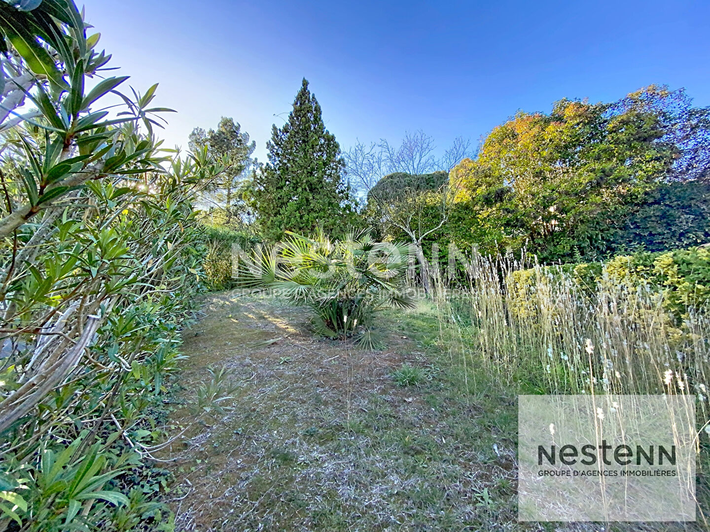 A vendre maison 6 pièces de 170 m² avec  plus de 50 m² de dépendance et piscine sur terrain arboré d'environ 980 m² à Montpellier secteur Aiguelongue