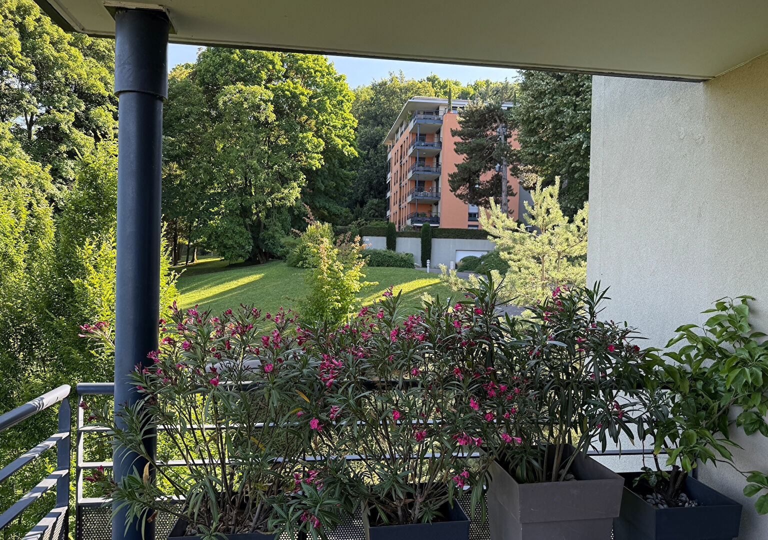 Sainte Foy les Lyon 120m² grand standing avec vue sur parc classé,  piscine et garage double