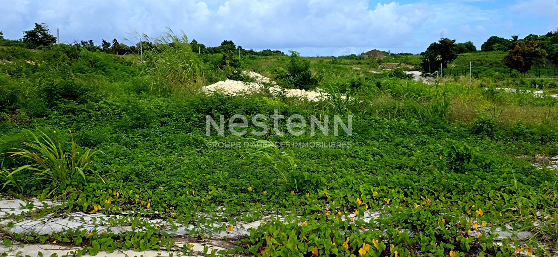 À vendre terrain de 768 m2 constructible à PETIT-CANAL proche de la plage de ANSE MAURICE