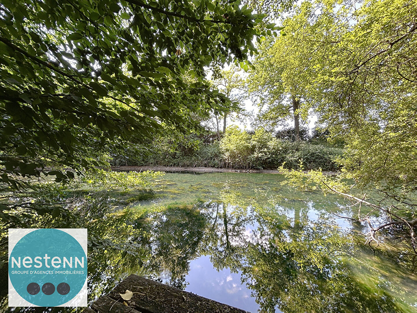 À vendre : Maison d'exception avec parc arboré et une belle façade de 40m au bord de l'eau