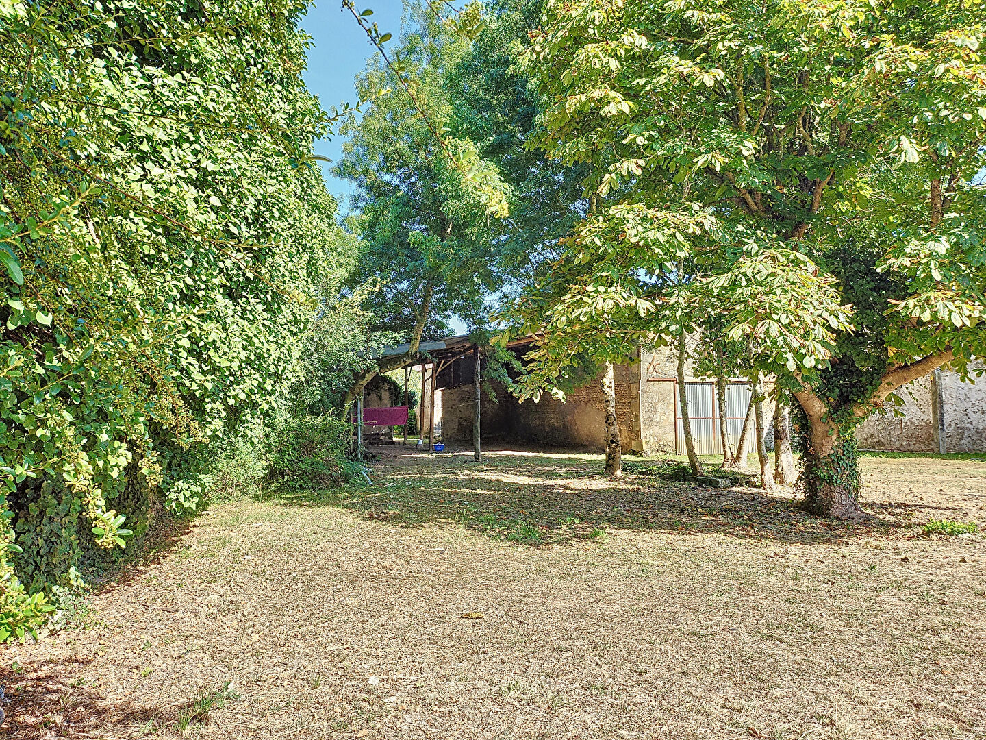 Terrain avec chai à rénover au centre de Pisany sur environ 1600 m² de terrain constructible · 181 000 €