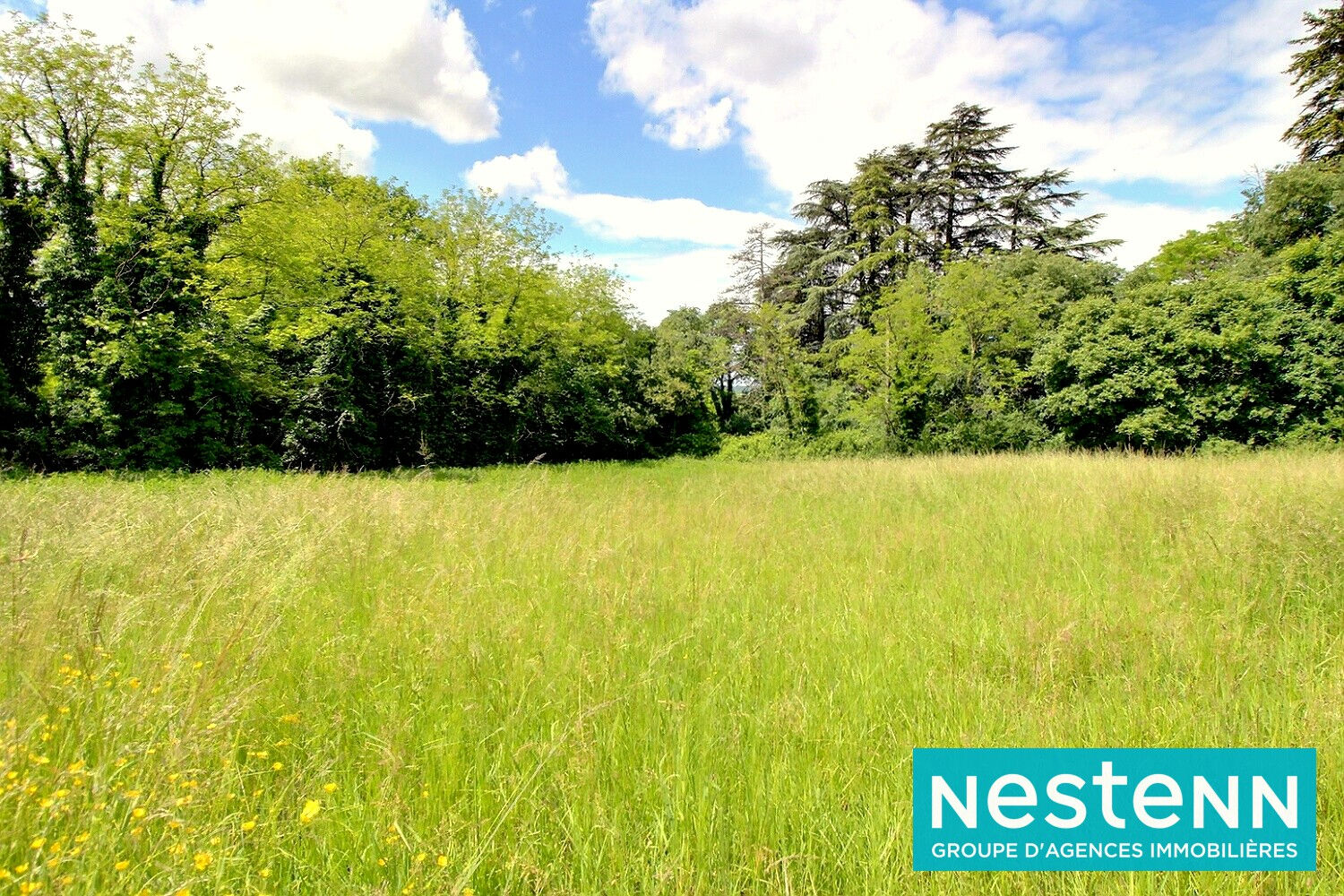 Terrain 1800 m² · à Jons · 1 800 m² · 270 000 €