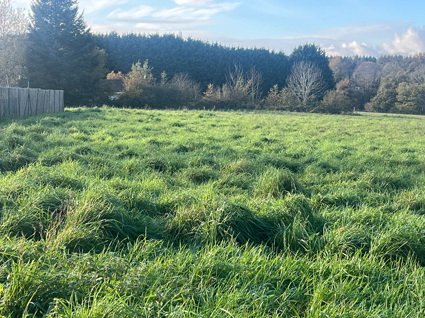 Terrain constructible Cognac la Foret