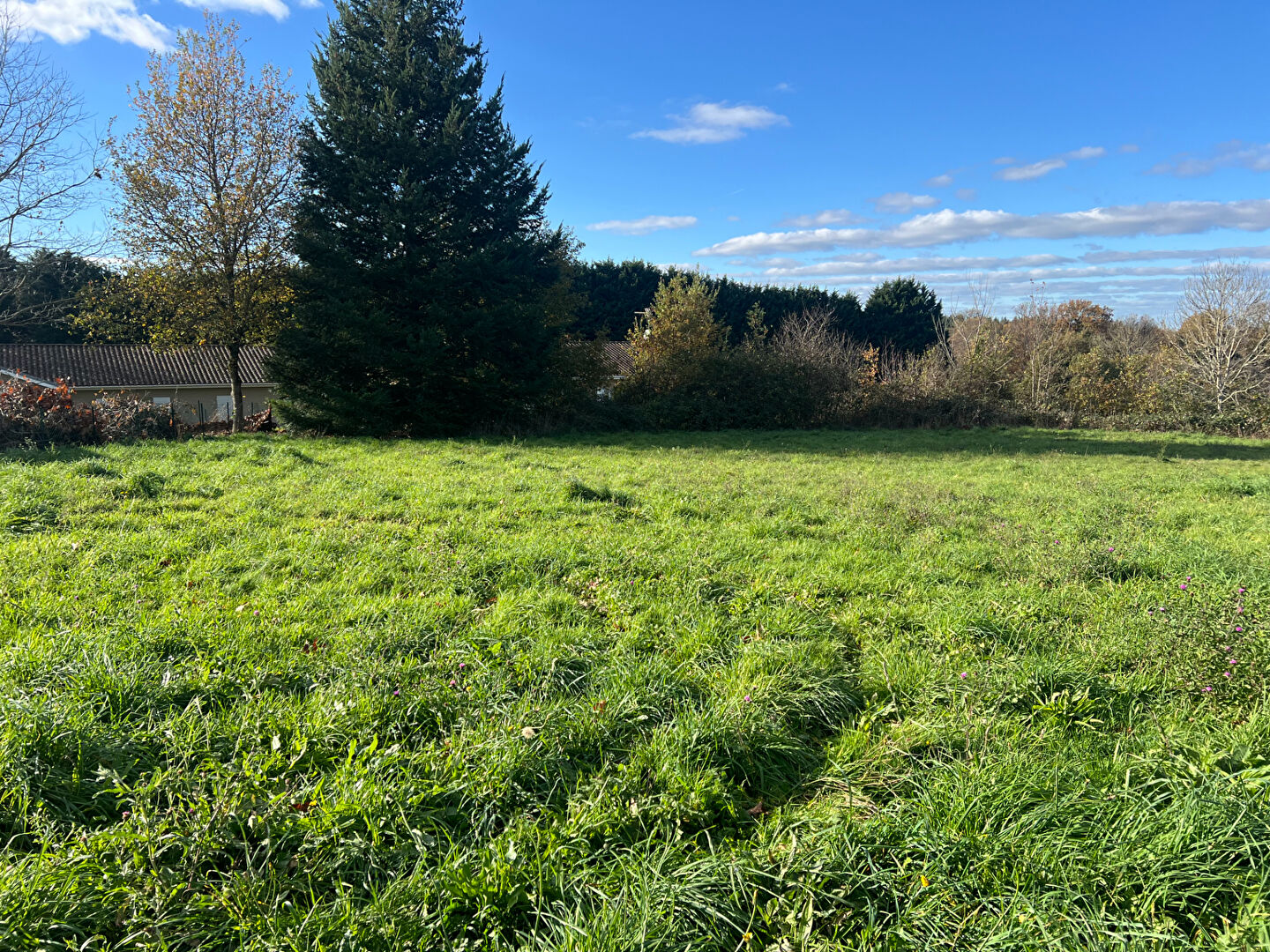 Terrain constructible Cognac la Foret