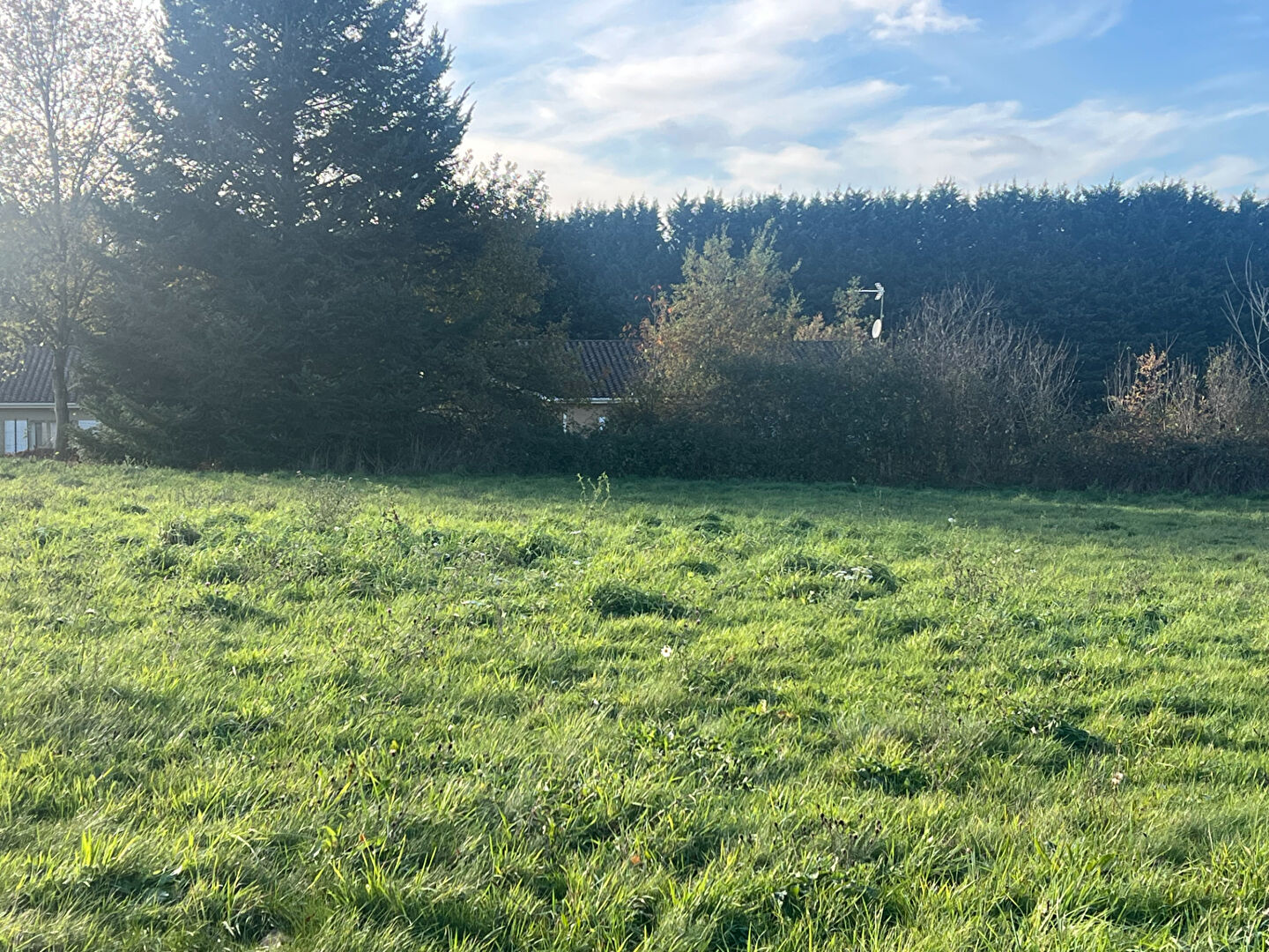 Terrain constructible Cognac la Foret