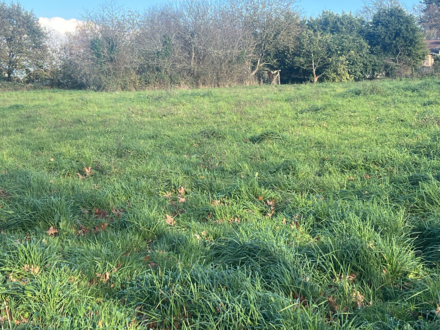 Terrain constructible Cognac la Foret