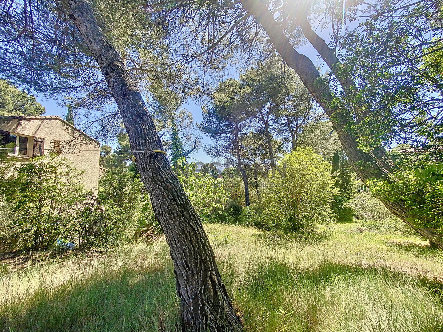 Maison de 150M2 (+ garage de 90 m2 aménageable) sur un terrain de 3 400m2 - Secteur de la Treille
