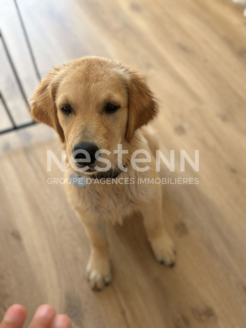 A VENDRE Fonds de commerce d'un salon de toilettage dans le pays Vannetais