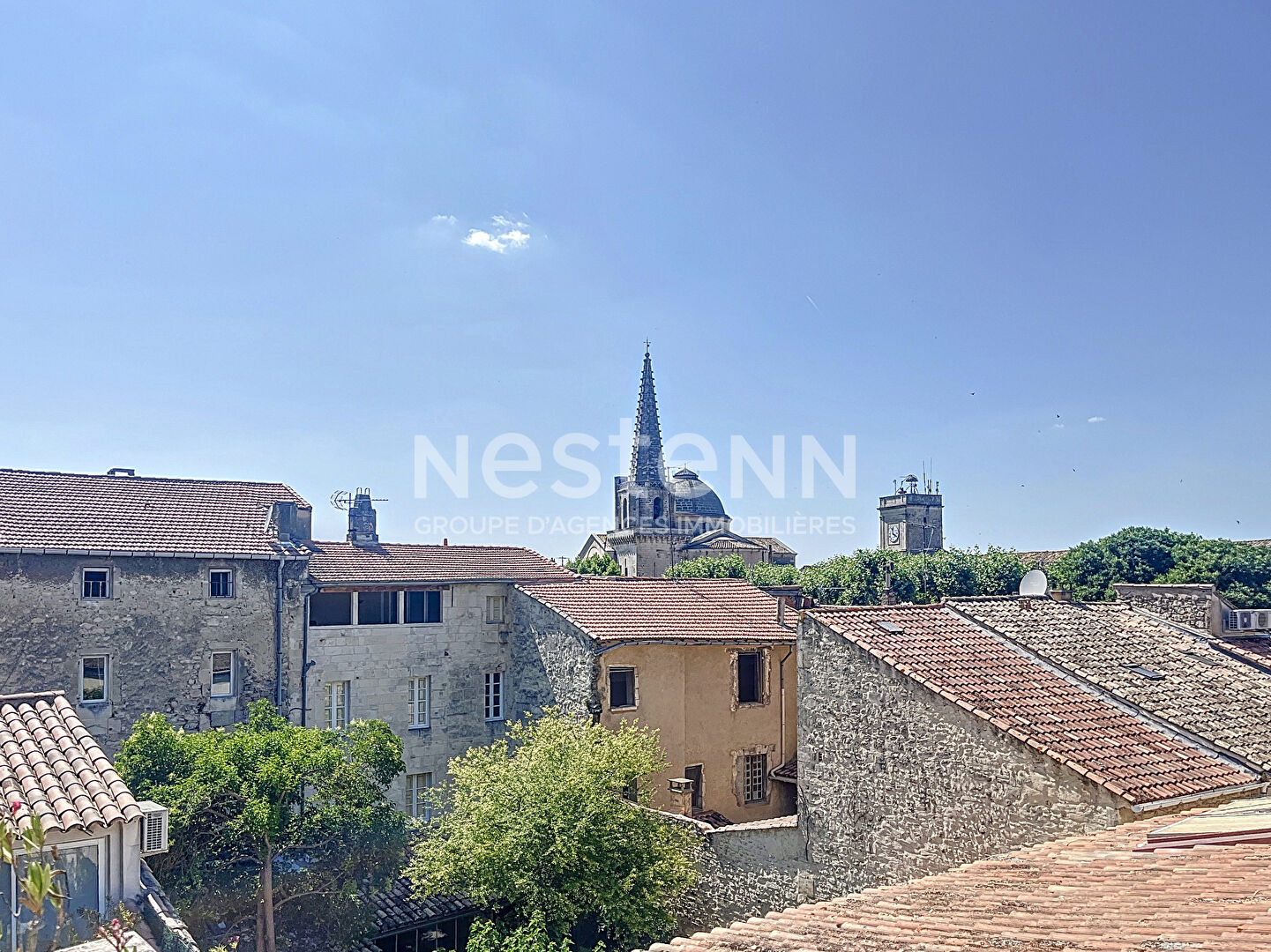 Bien d'exception en plein coeur de Saint-Rémy-de-Provence ? Local commercial + habitation de caractère