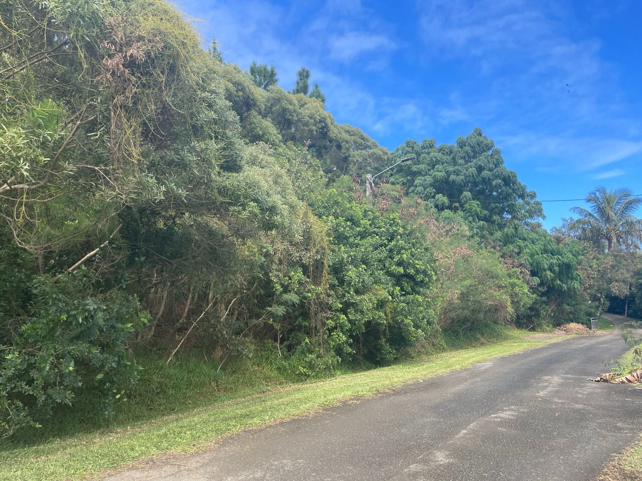 Bien disponible en Nouvelle-Calédonie en exclusivité : beau terrain constructible à vendre au MONT DORE