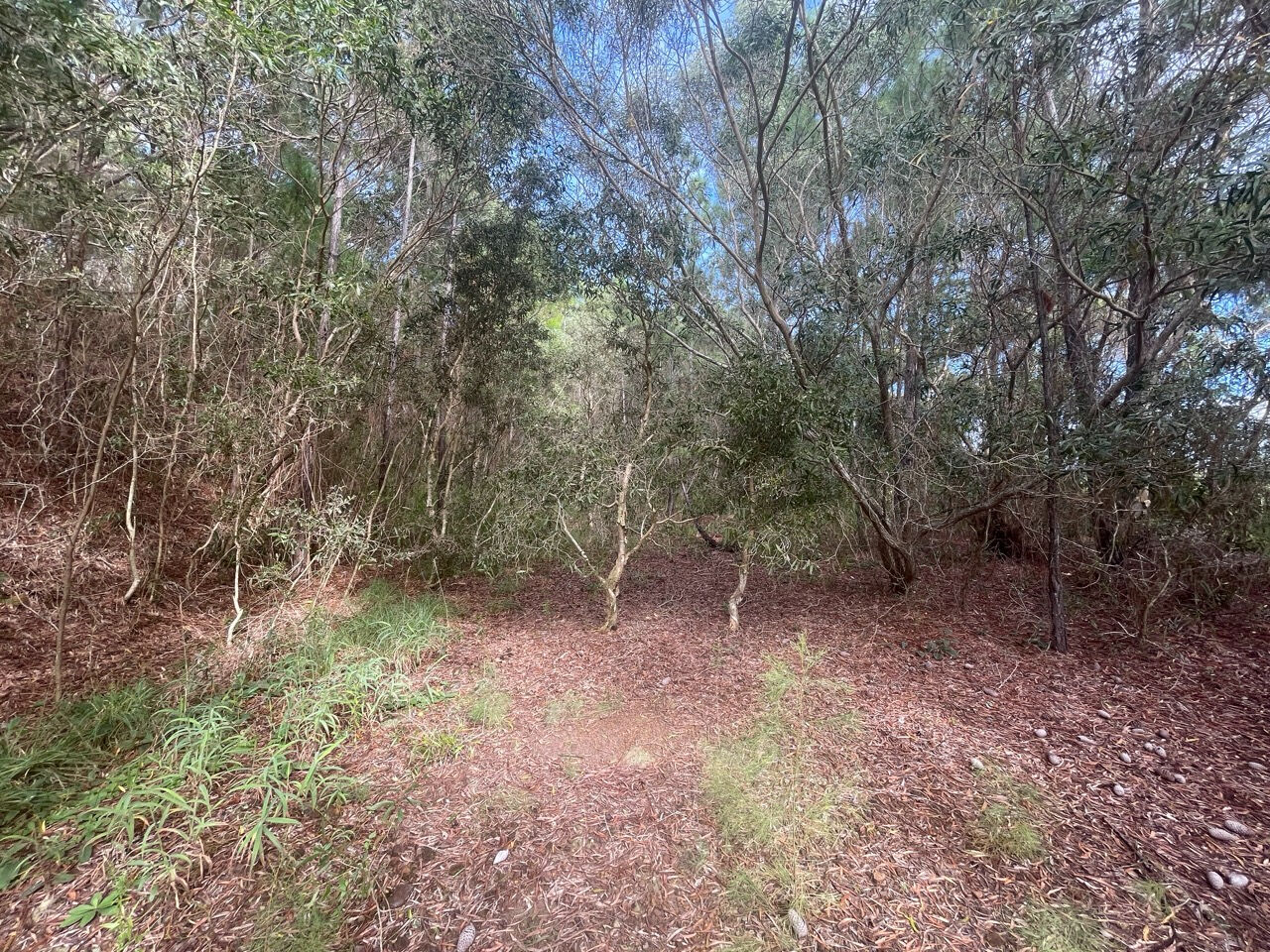 Bien disponible en Nouvelle-Calédonie en exclusivité : beau terrain constructible à vendre au MONT DORE