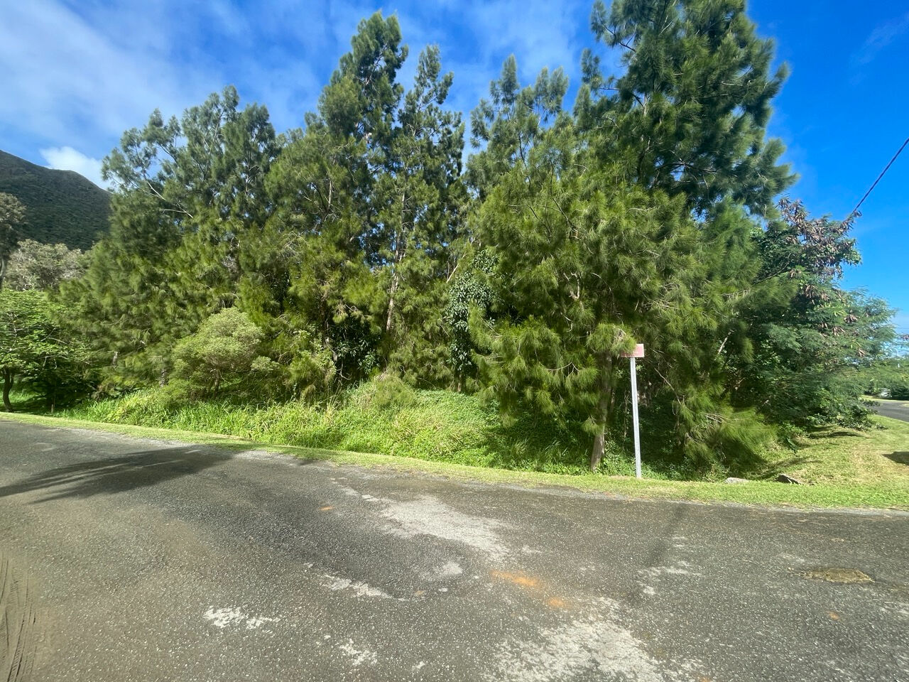 Bien disponible en Nouvelle-Calédonie en exclusivité : beau terrain constructible à vendre au MONT DORE