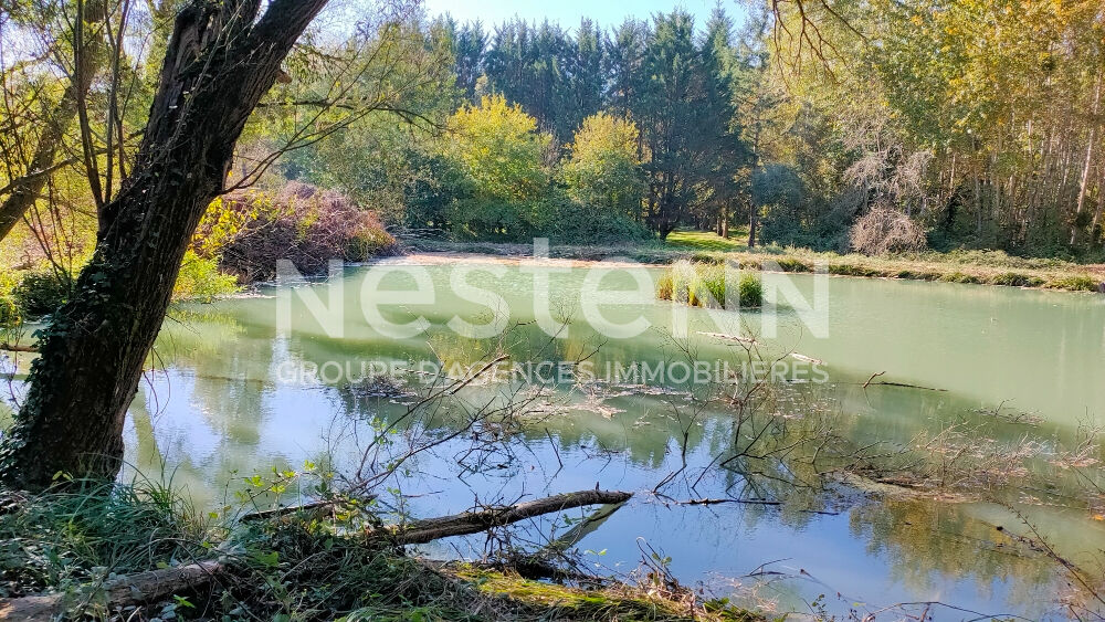 CHEMERY, terrain de loisirs de 6630 m² avec deux petits étangs de 1000 et 2000 m² · 39 900 €