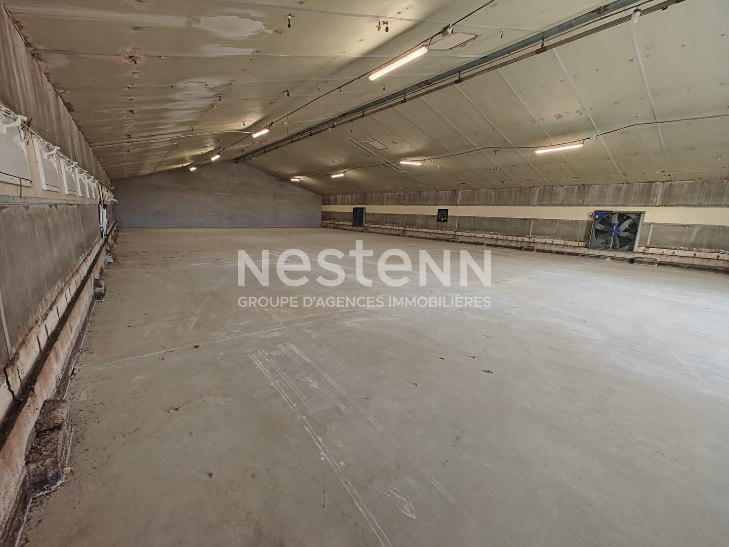 Local commercial 2000 m² · à Fosse · 2 000 m² · 424 000 €