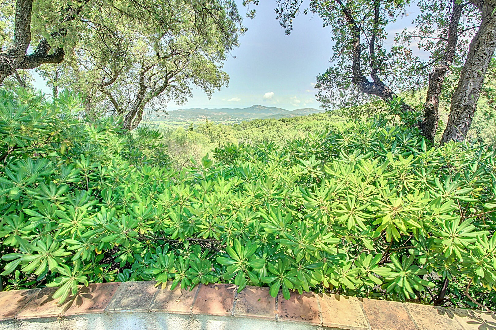 Maison Plan De La Tour 2 pièces 54 m2