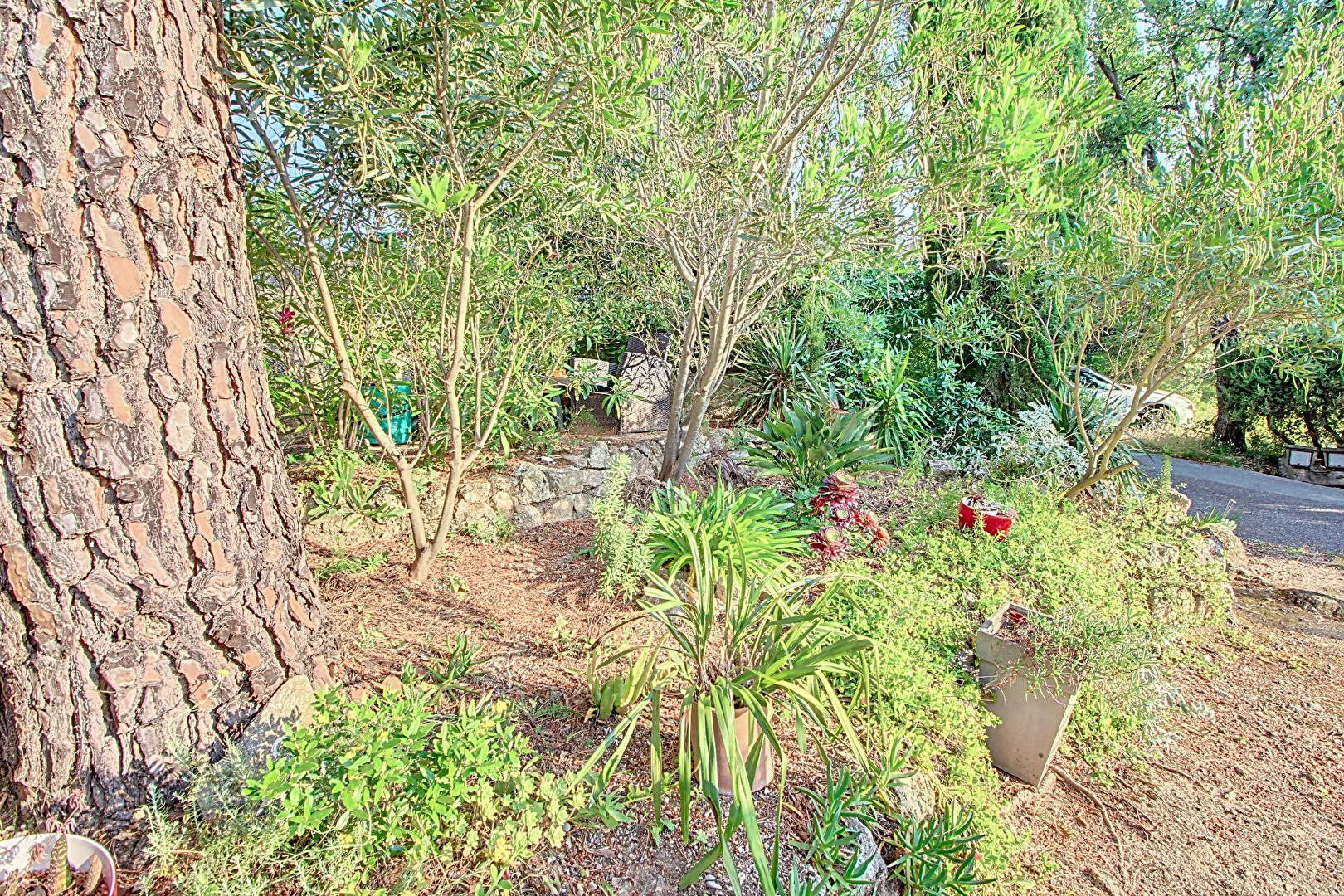 Maison Plan De La Tour 2 pièces 54 m2