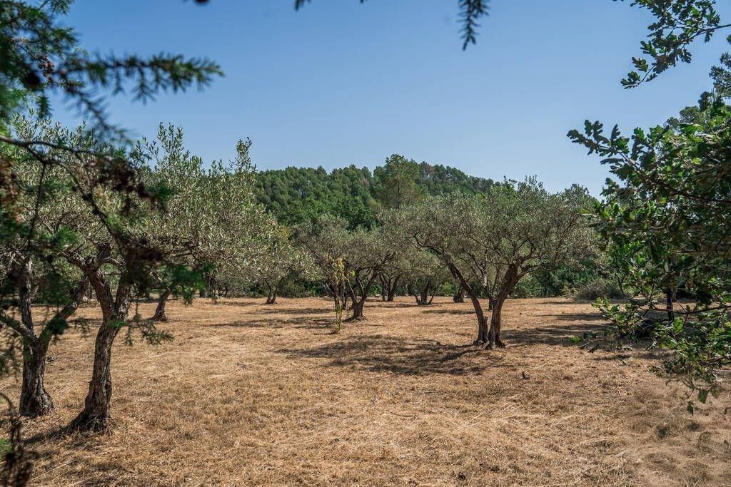 Terrain 1615 m² · à Flayosc · 1 615 m² · 218 000 €