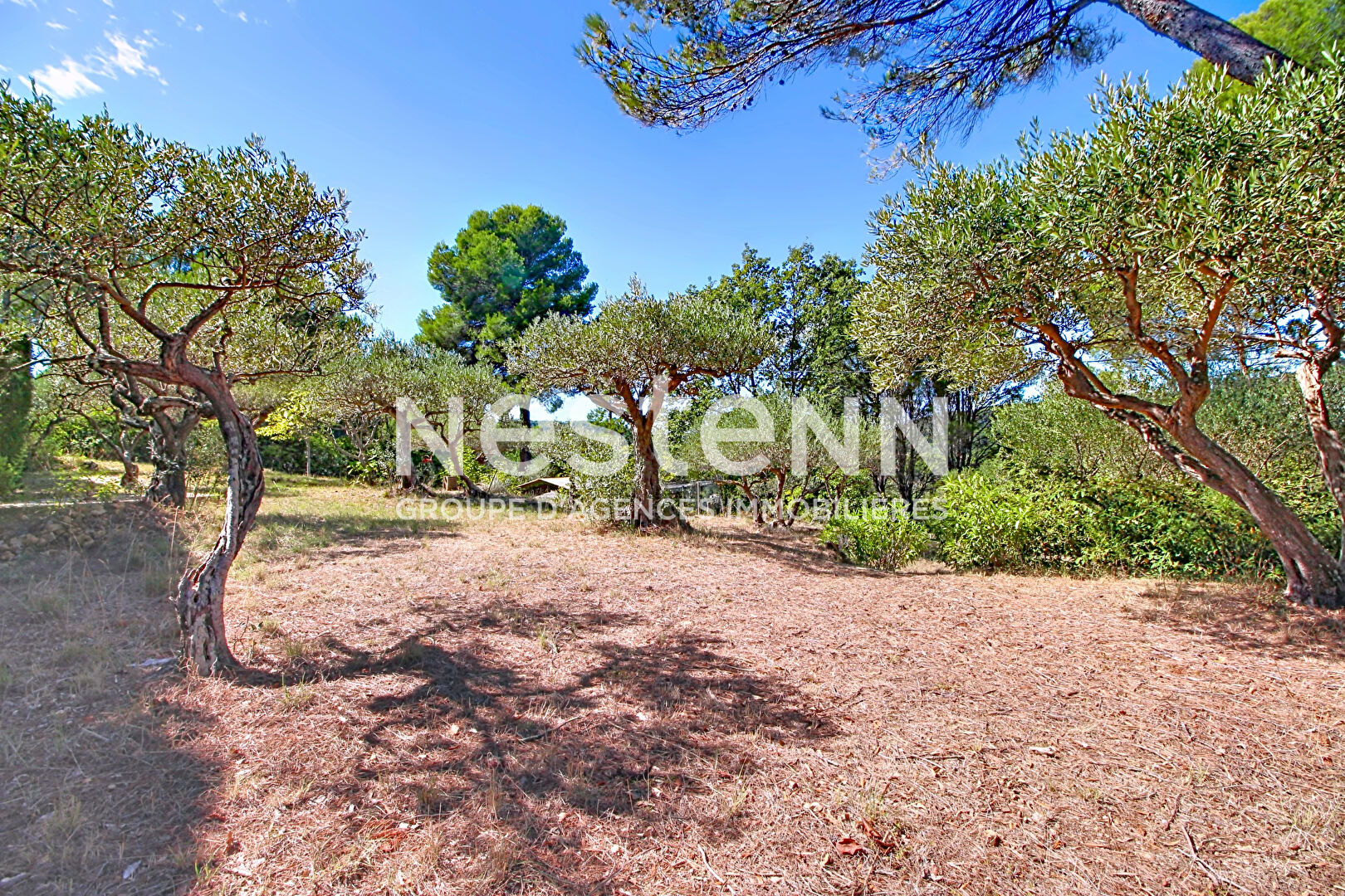 À VENDRE ! SALERNES ! TERRAIN CONSTRUCTIBLE DE 1 680 m² CLOS AVEC OLIVIERS · 158 000 €