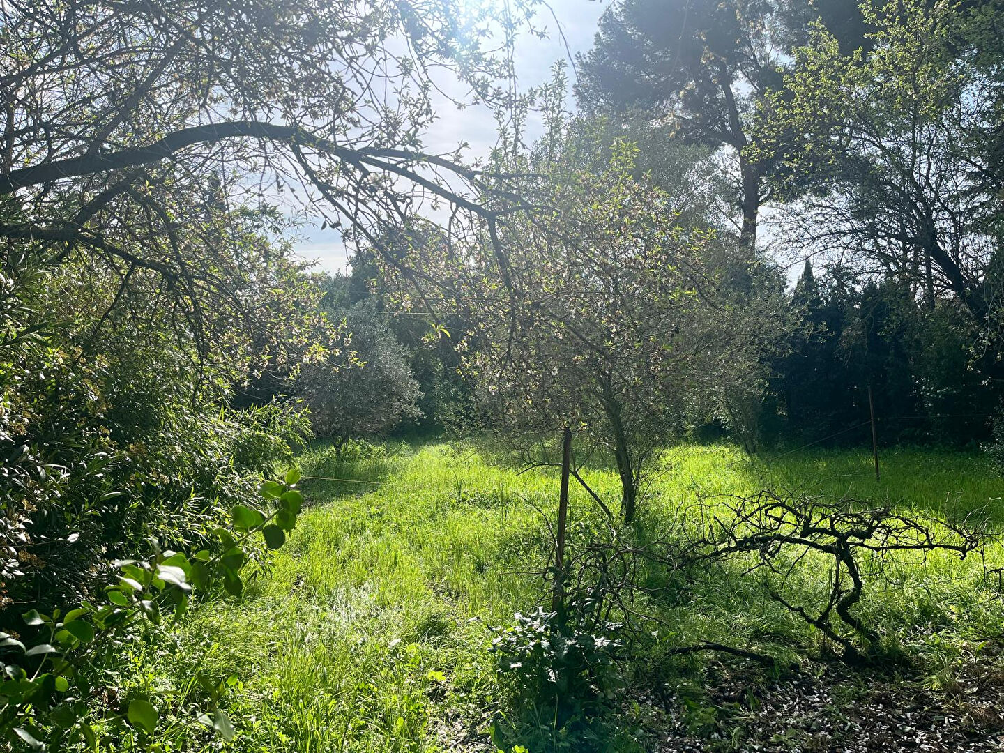 Terrain 515 m² · à Marignane · 515 m² · 240 000 €