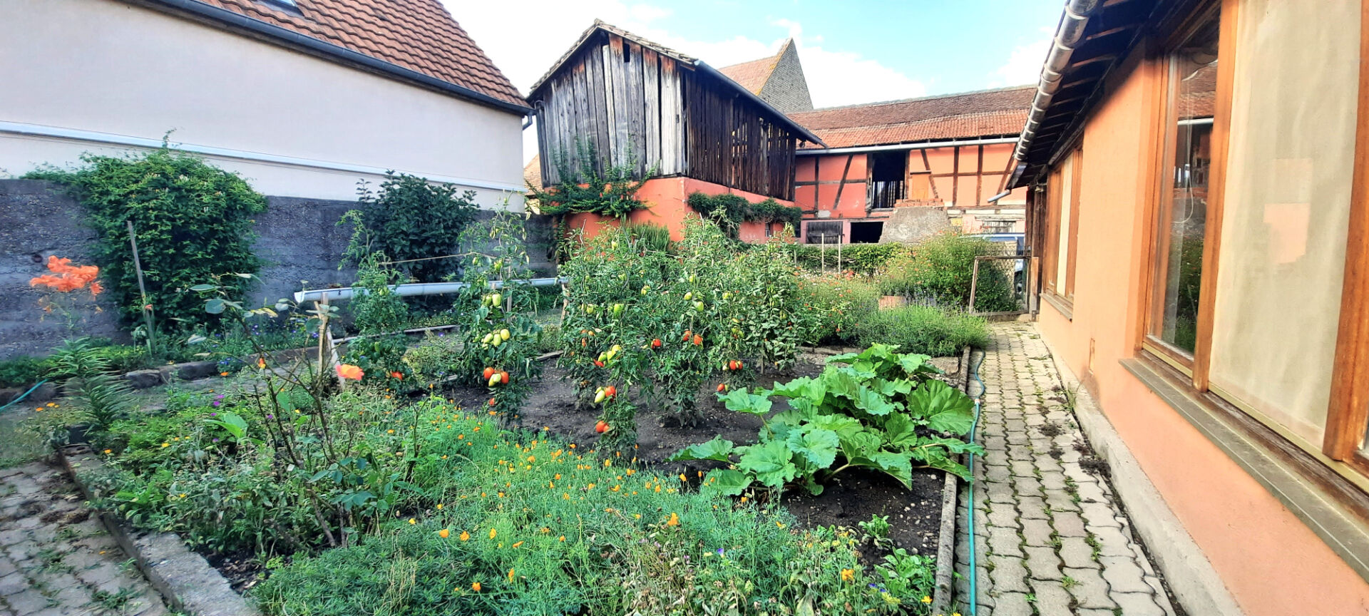 vente Maison Osthouse 8 pièce(s) 190 m2 habitable plus des dépendances sur 7.40 ares