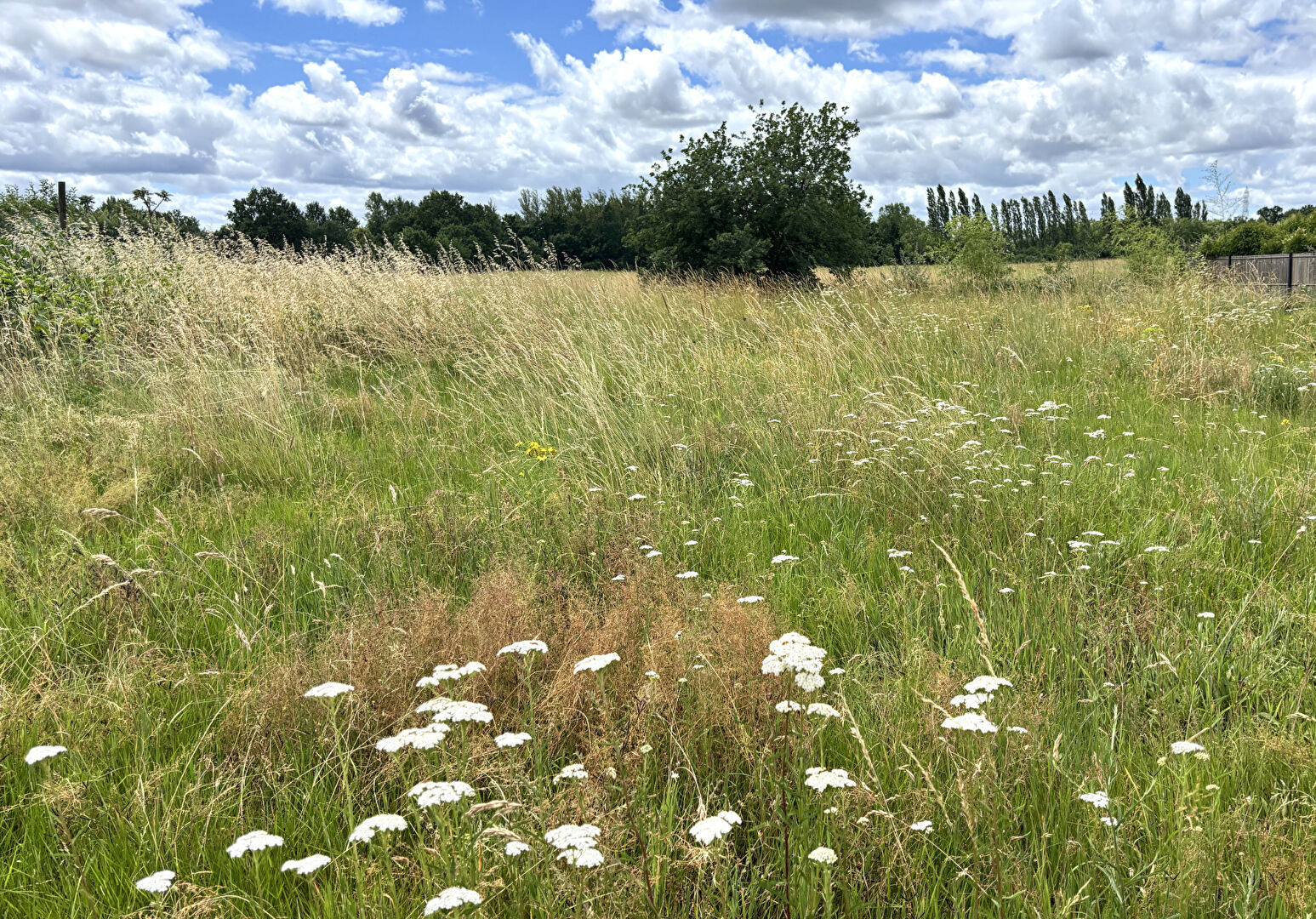 Terrain constructible de 590 m² viabilisé à Montauban secteur Birac · 79 000 €