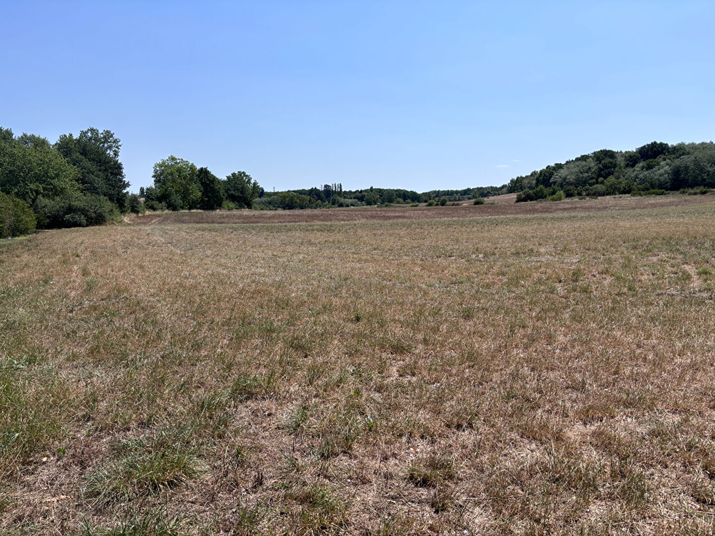 Grand terrain à viabiliser de 11 010 m² à Saint Nauphary · à Saint-Nauphary · 172 000 €