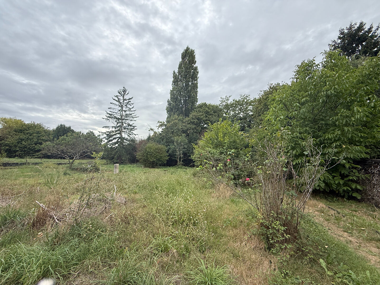 TERRAIN CONSTRUCTIBLE DE 814 m2, ERDRE EN ANJOU