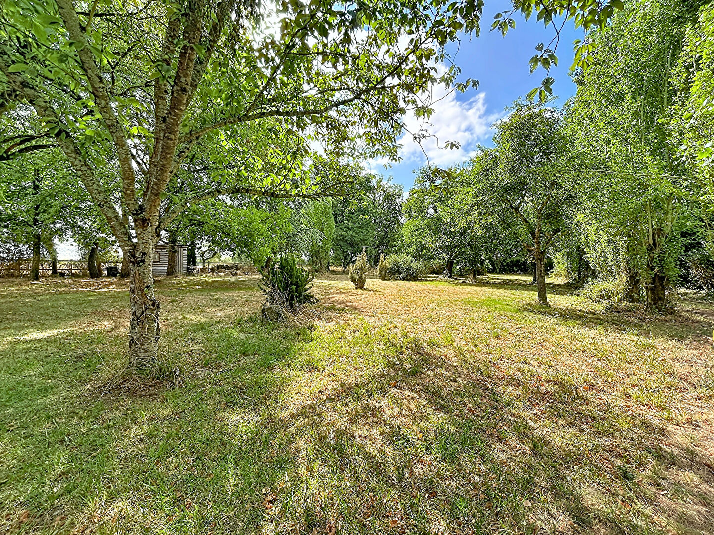 Demeure authentique - 4 chambres avec parc de 5000m2